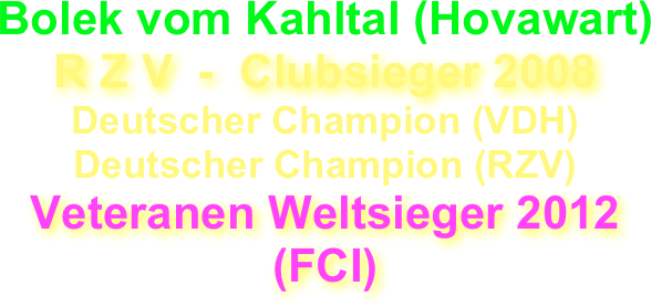 Bolek vom Kahltal (Hovawart) 
R Z V  -  Clubsieger 2008
Deutscher Champion (VDH)
Deutscher Champion (RZV)
Veteranen Weltsieger 2012 (FCI)